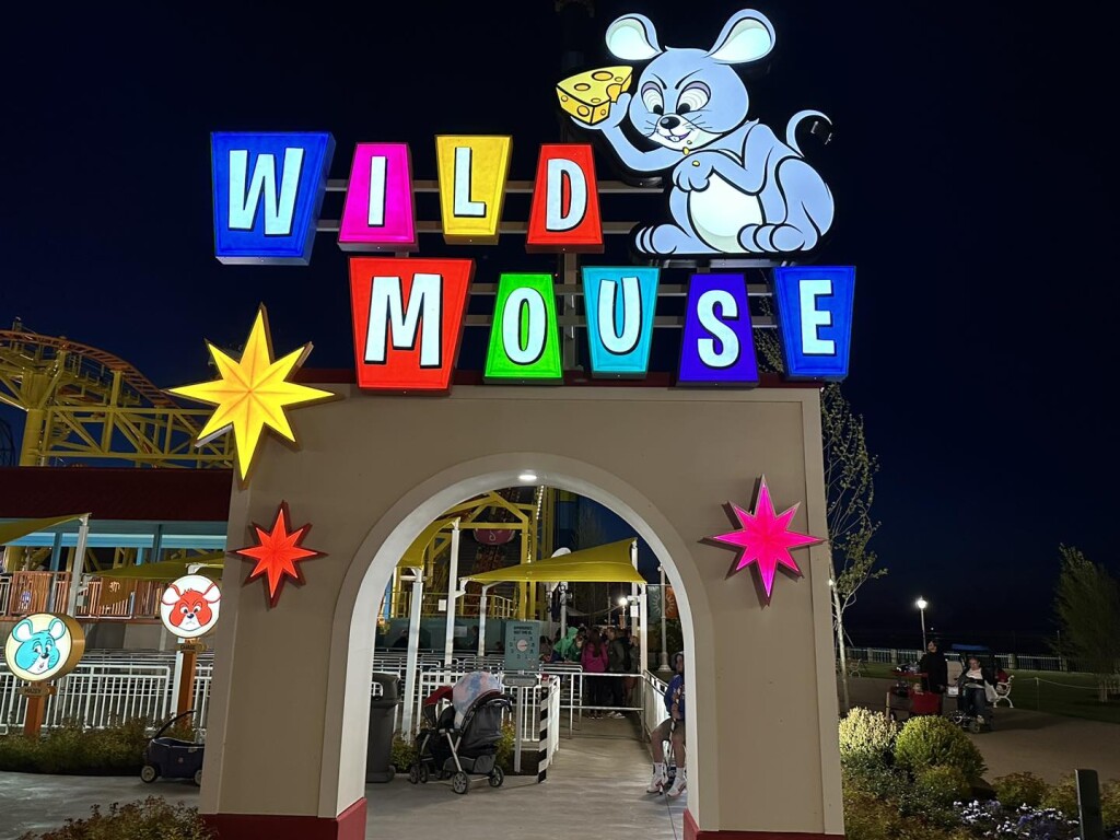 wild mouse 1