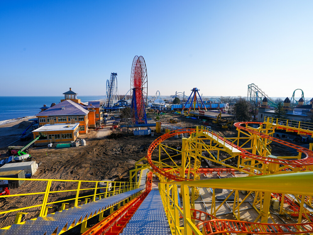 wild mouse 4